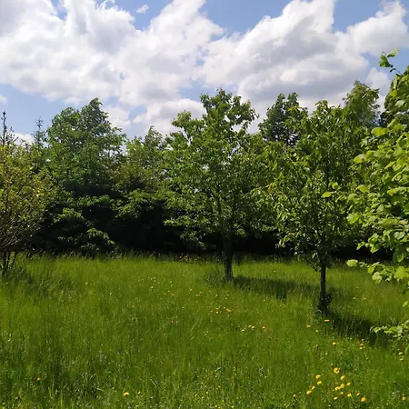 Vincentowka Feriehus *